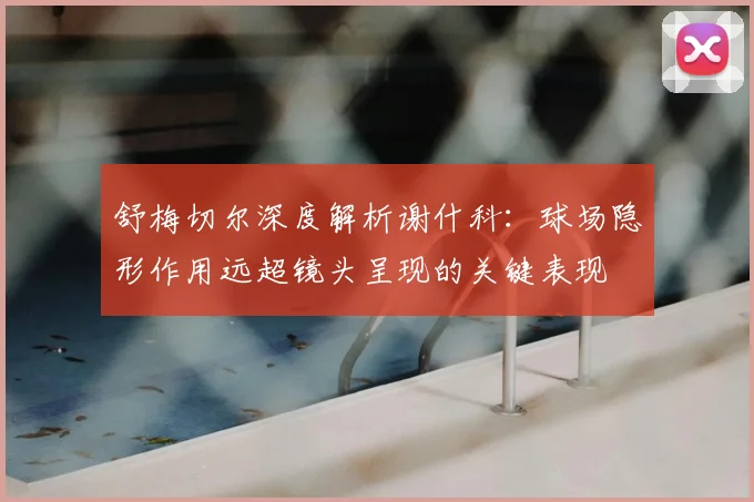 舒梅切尔深度解析谢什科:球场隐形作用远超镜头呈现的关键表现